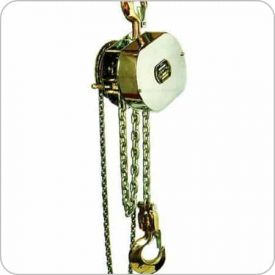 Stainless Steel Chain Block